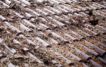 Laddenvean roof cleaning companies